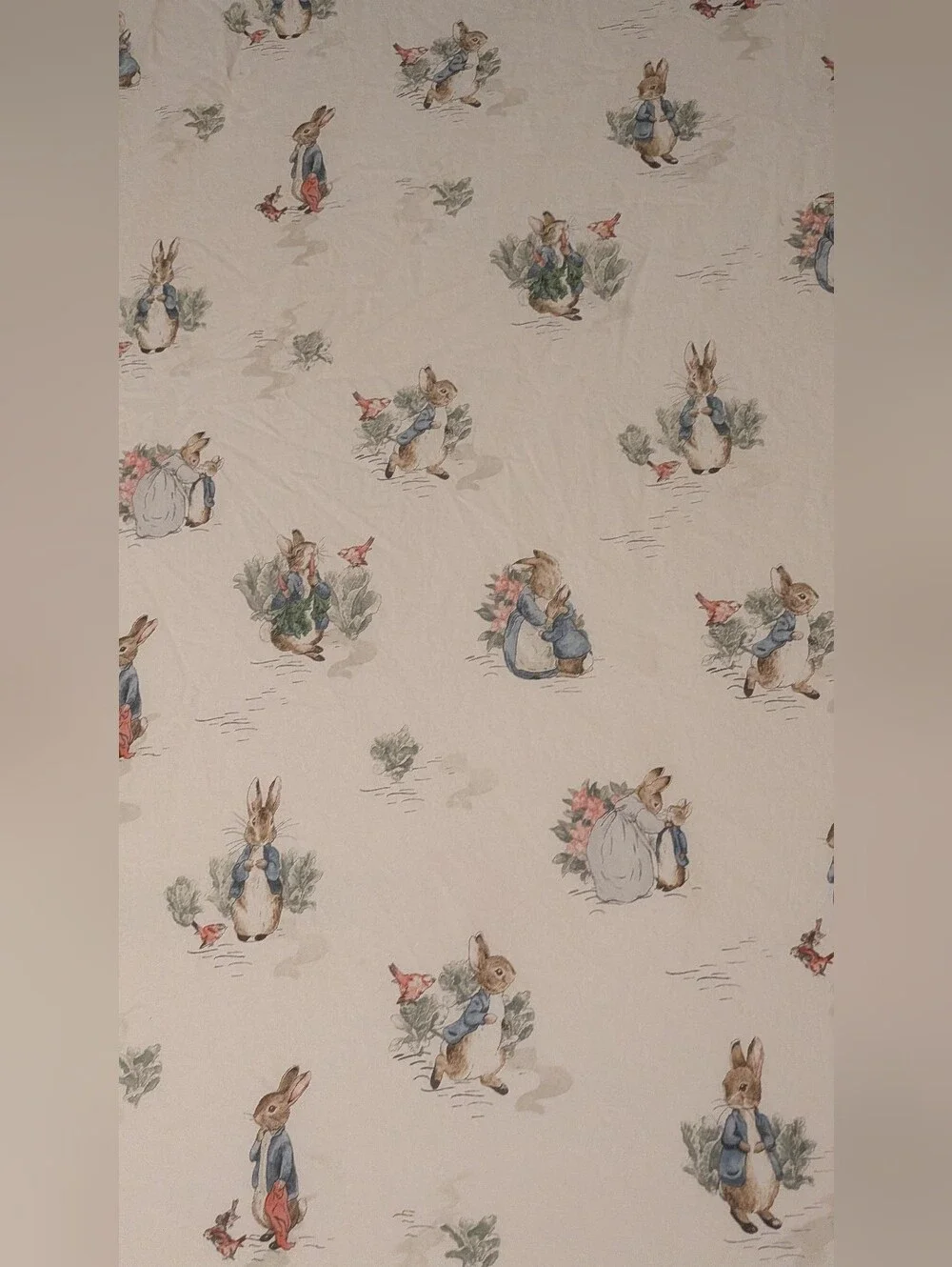 Pottery Barn Peter Rabbit Print Full Sized Bed Sheets